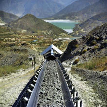 Horizontal Fixed Belt Conveyor Plant